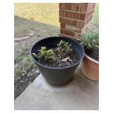 LARGE PLANTER