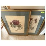 2PC LARGE BOTANICAL PRINTS PEONIES & CARNATIONS