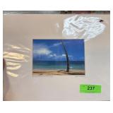 HAWAII MATTED PHOTOGRAPH SIGNED SPINER