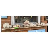 CONTENTS OF SHELF LARGE LOT OF SEASHELLS CONTENTS OF SHELF LARGE LOT OF SEASHELLS