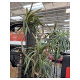 2PC LARGE FAUX PLANTS