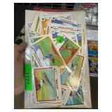 Looney Tunes Baseball Trading Cards
