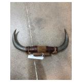 Mounted Bull Horns W Leather Accents