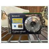 Sony Cyber-shot DSC-W90 Digital Camera, 8.1 MP