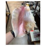 Large Conch Shell with Pink Interior Large Conch Shell with Pink Interior