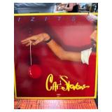 Cat Stevens ï¿½Izitsoï¿½ Vinyl Record Album
