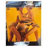 Jungle Drums Vinyl Record by Wild Fantasy