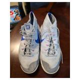 Nike Chukka FSB Shoes in Gray with Blue Swoosh, Si