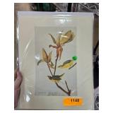 Lot of Bird Prints In Packaging