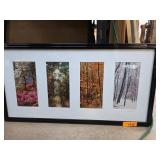 Framed Seasonal Nature Photographs Signed by Artis