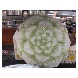 Ceramic Dishware Lot with Floral Designs