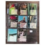 Animal-Themed Phone Cards