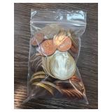 Bag of Assorted Coins