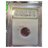 Campo del Cielo Meteorite Authentic Specimen