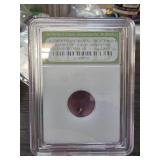 Authentic Meteorite Space Rock Sample