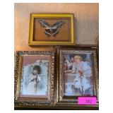 Framed Art and Butterfly Display