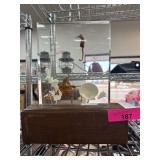 Illuminated Seascape Display With Seahorse