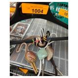 Bolo Ties With Stone Accents