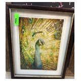 Framed Peacock Art With Postcard Theme