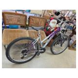 Trek Mountain Bike with Purple Accents