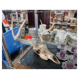 Deer Skull With Antlers Display