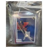 Stars Autographs and Relic Cards Collection