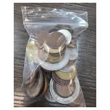 World Coins in Clear Plastic Bag