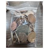 Coins in Zipper Seal Bag