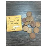 1929 Lincoln Wheat Pennies Collection