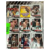 UFC Sports Cards