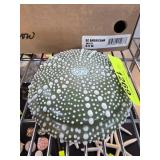 Green Ceramic Sea Urchin-Inspired Lidded Container