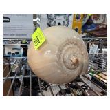 Large Polished Seashell Ornament