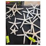 White Starfish Decor