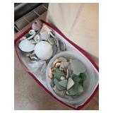Seashells and Sea Glass Pieces
