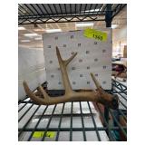 Deer Antler Handled Bottle Opener