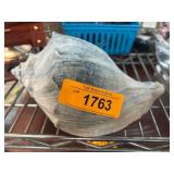 Large Natural Seashell Decorative Piece