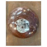 Goniatite Fossil Paperweight from Morocco