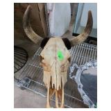 Mounted Animal Skull With Horns and Fur Accents