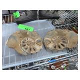 Polished Ammonite Fossil Pair on Matrix