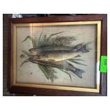Framed Fish-Themed Prints Under Glass