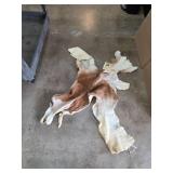 Taxidermy Animal Hide With Head and Fur