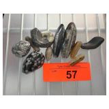 Polished Fossil Stones and Minerals