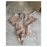 Animal Hide With Fur and Tail