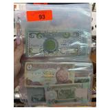 Uncirculated Banknote Collection in Plastic Sleeve