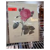 10 Botanical Art Prints