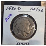 1920-D Buffalo Nickel in Holder