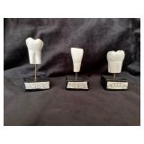 Three Dental Tooth Models