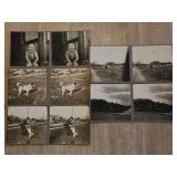 5 Vintage Photographic Prints