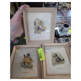 Three Framed Animal Prints