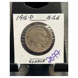 1916-D Buffalo Nickel in Holder